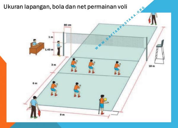 Bola voli berasal