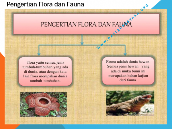 Pengertian Flora dan Fauna