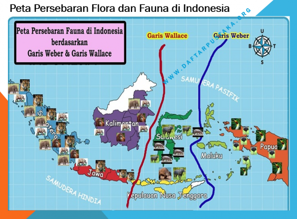 Persebaran Flora dan Fauna di Indonesia