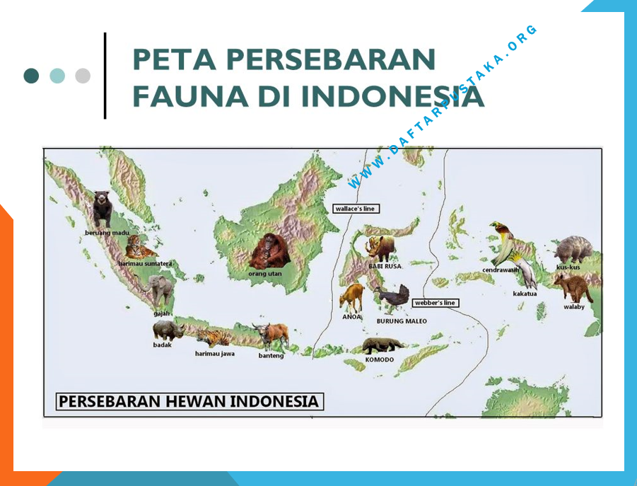Peta Persebaran Flora Dan Fauna Di Indonesia Daftar Pustaka My Xxx