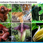 Peta Persebaran Flora dan Fauna di Indonesia