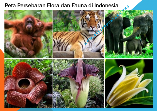 Peta Persebaran Flora dan Fauna di Indonesia