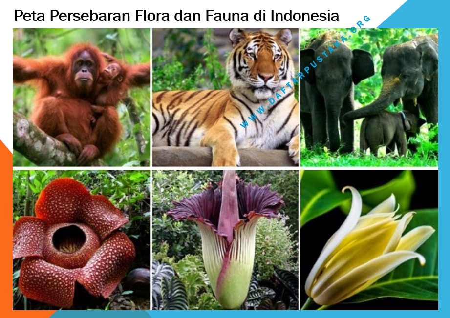 Peta Persebaran Flora dan Fauna di Indonesia | Daftar Pustaka Peta Persebaran Flora dan Fauna di Indonesia | Daftar Pustaka