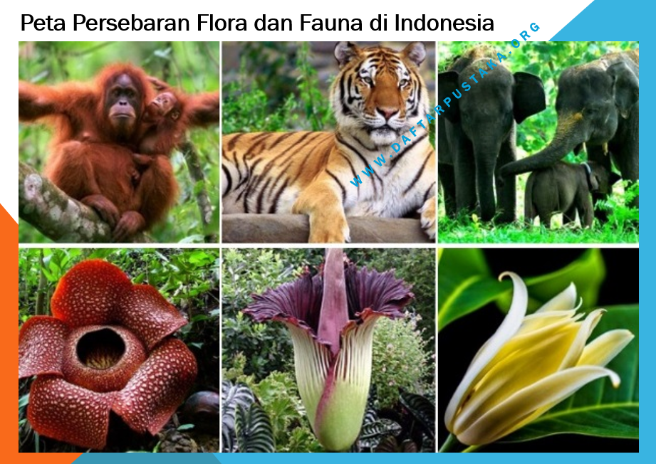 Faktor faktor yang menyebabkan flora dan fauna tumbuh tidak merata di bumi indonesia adalah