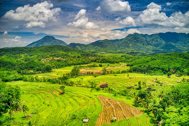 Peta Indonesia