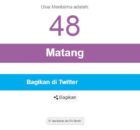 Tes usia mental