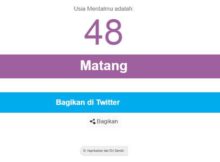 Tes usia mental