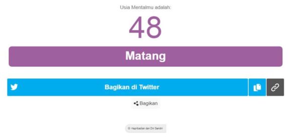 Tes usia mental