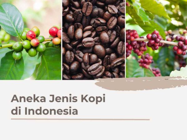 kopi