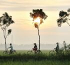 Dampak Pendudukan Jepang di Indonesia yang Dirasakan
