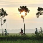 Dampak Pendudukan Jepang di Indonesia yang Dirasakan