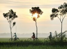 Dampak Pendudukan Jepang di Indonesia yang Dirasakan