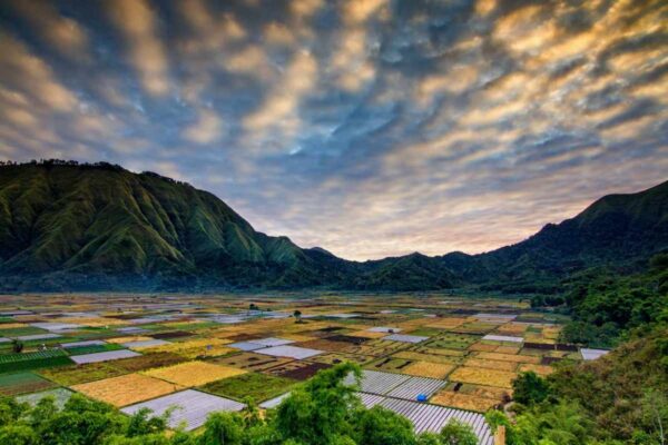 Pelajari Asal Usul Manusia Purba di Indonesia