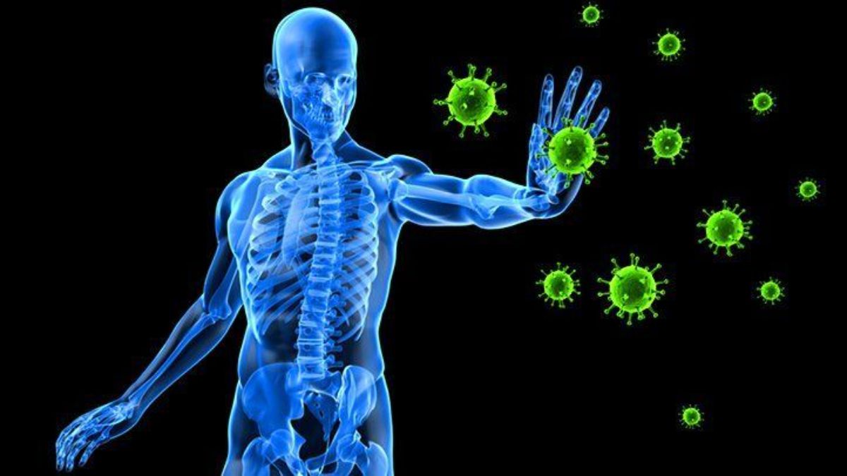 Apa Pengertian Sistem Imun