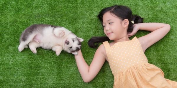 Kecerdasan Naturalistik Anak